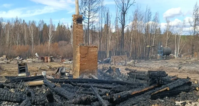 Пенсионер из Костромы выстрелил в лесничего и сжёг тело вместе с домом