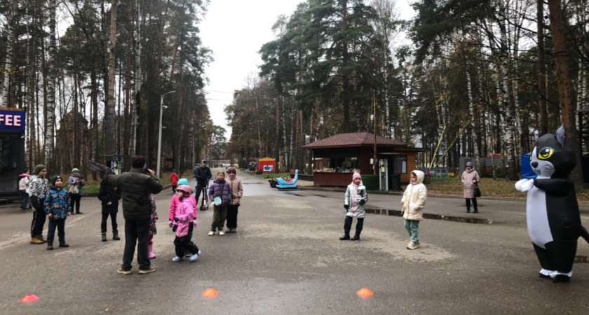 В костромских парках стартовала неделя помощи бездомным животным