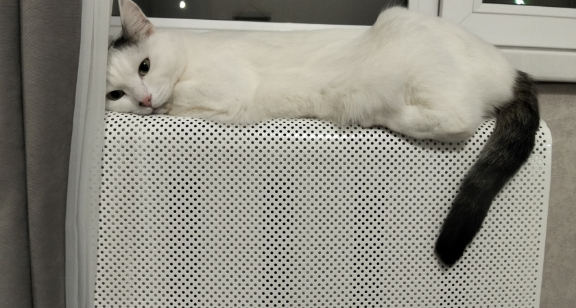 Накрываю батарею этим зимой — и в доме тепло и уютно. Спасает в лютые морозы, даже в -30