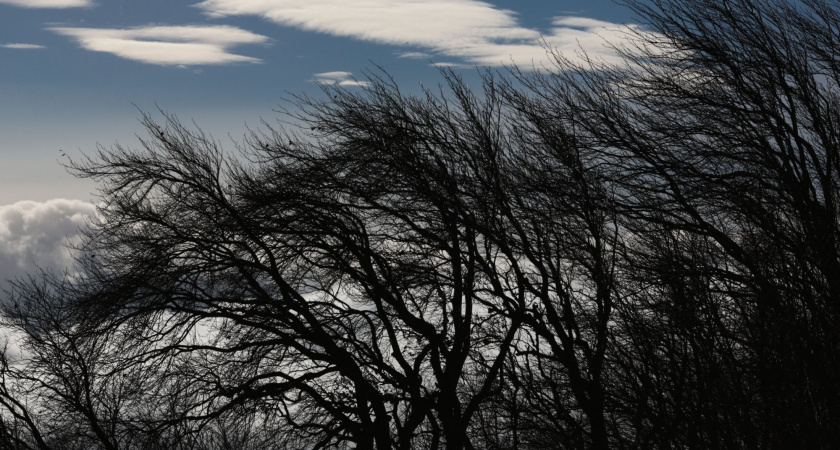 В Костроме на 14 ноября объявлено штормовое предупреждение с ветром до 17 м/с