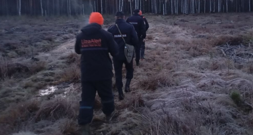 В Костромской области без вести пропал 76-летний мужчина с возможной потерей памяти