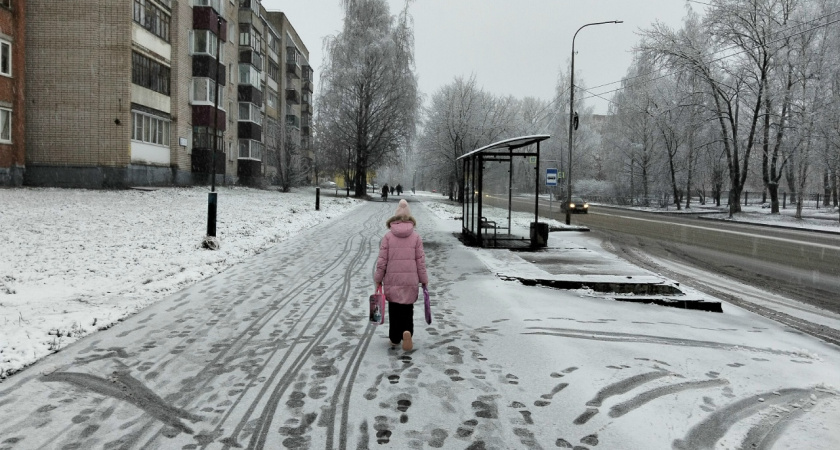 В Костромской области из-за непогоды ввели желтый уровень погодной опасности
