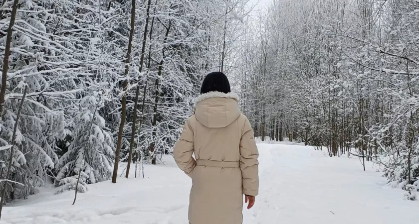 Осень в Костромской области стала одной из самых хмурых в ЦФО