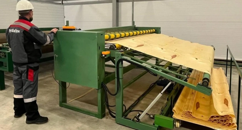 В Костромской области открыли завод по производству шпона