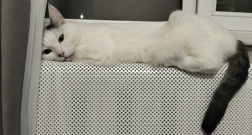 Как сэкономить на отоплении и сделать дом теплее: простой финский способ