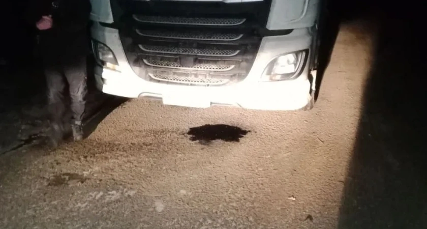 В Костромской области спасли водителя, который чуть не замерз в сломавшейся фуре