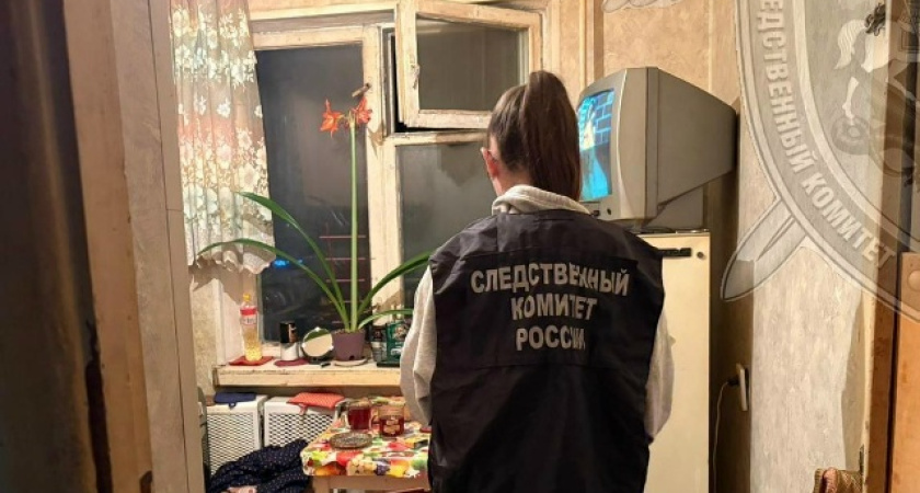 Не смогла себя контролировать: 32-летняя костромичка ударила ножом сожителя