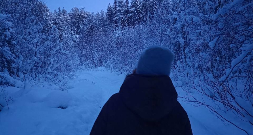 В Костромской области появились еще три новых заповедника