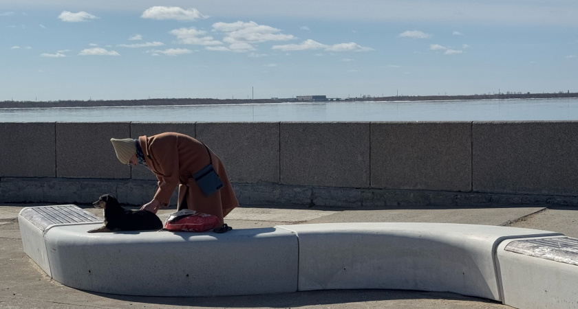 3 мудрые цитаты Авиценны, которые переворачивают представление о жизни - надо знать в любом возрасте