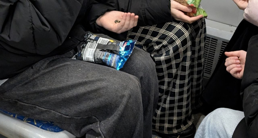 В автобусе Костромы развернулась семечковая вакханалия