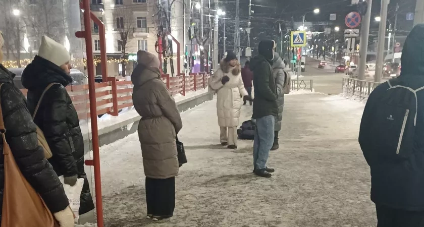 Самозанятым из Костромы будут платить за болезни