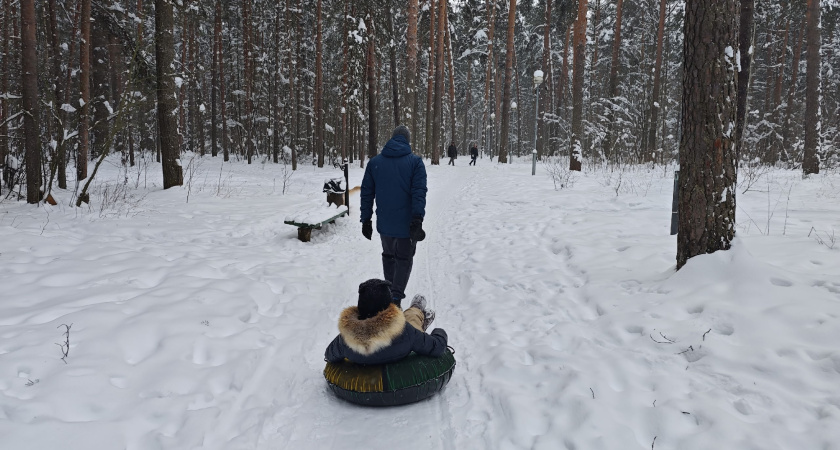 В Костроме бывший лес хотят вырубить под микрорайон: жители разбились на два лагеря
