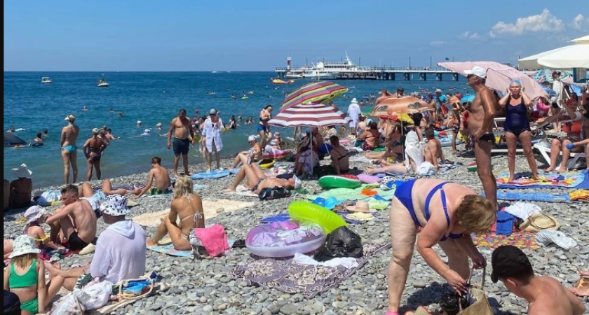 Отпуск окончательно провален: отдыхающие из Геленджика и Анапы массово жалуются на новую напасть