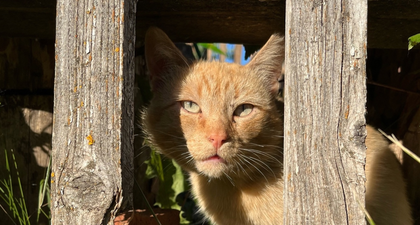 Не пренебрегайте общением с родными и не тратьте время попусту: приметы на 7 августа