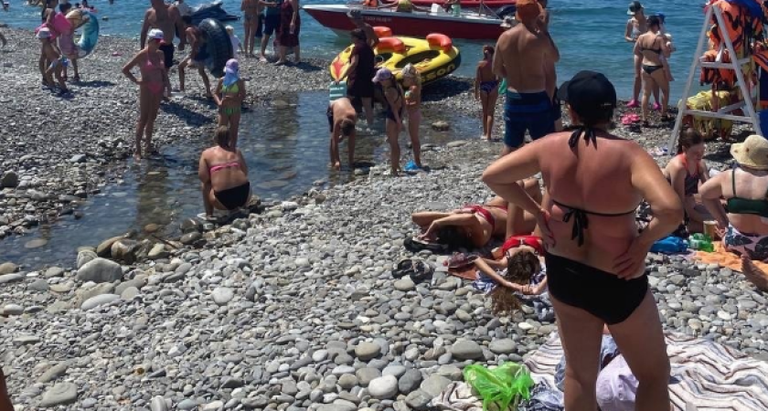 Отпуск оказался окончательно провален: отдыхающие из Геленджика и Анапы массово жалуются на новую напасть