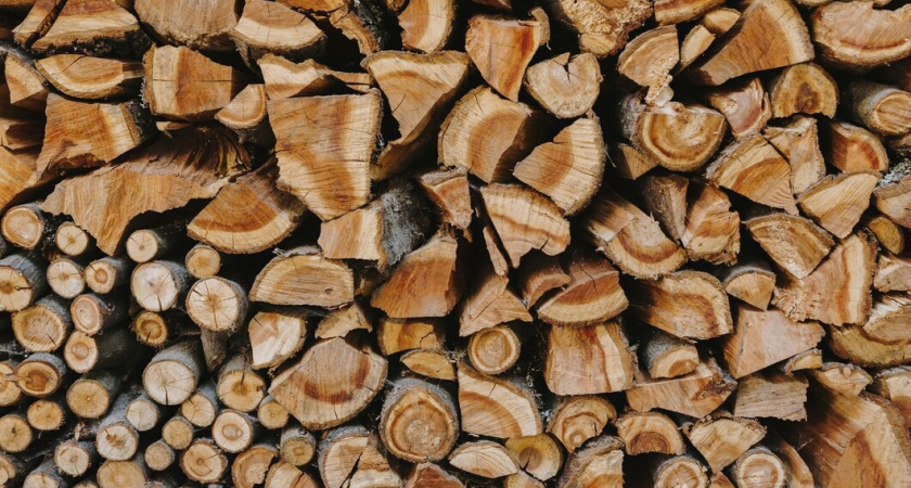 Пенсионеры плачут от счастья! Новая льгота вводится с августа