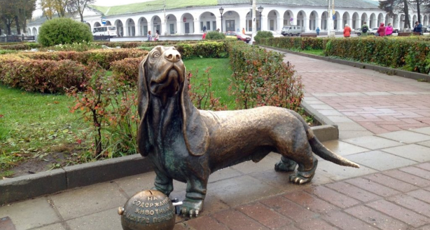 Бобка вернулся на свое законное место