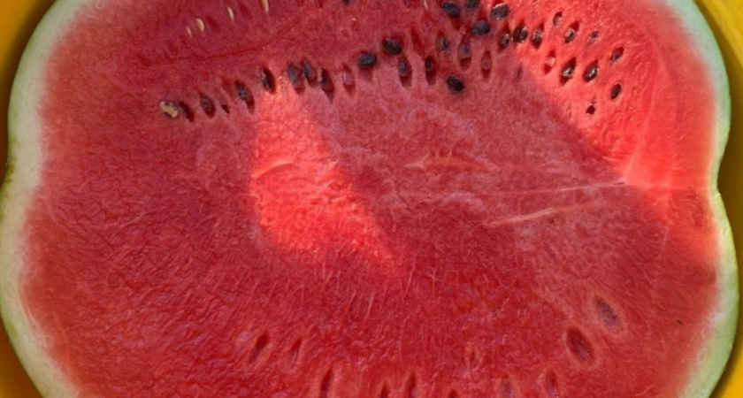 Роспотребнадзор объяснил, чем ядовитые арбузы опасны для мозга
