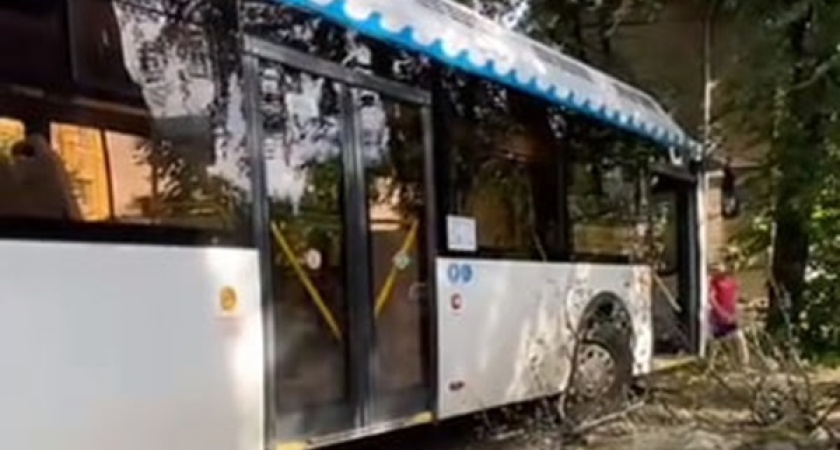 В Костроме автобус съехал с дороги и влетел в дерево