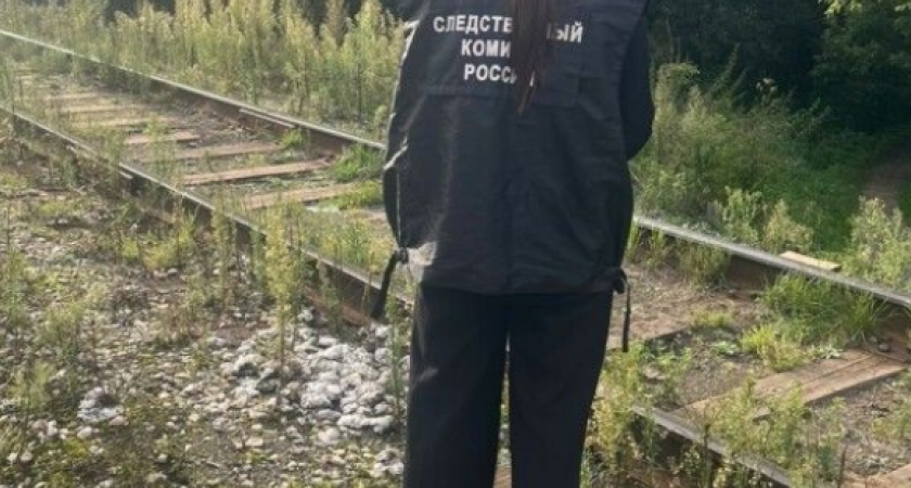 В Костроме 9-летний мальчик попал под тепловоз