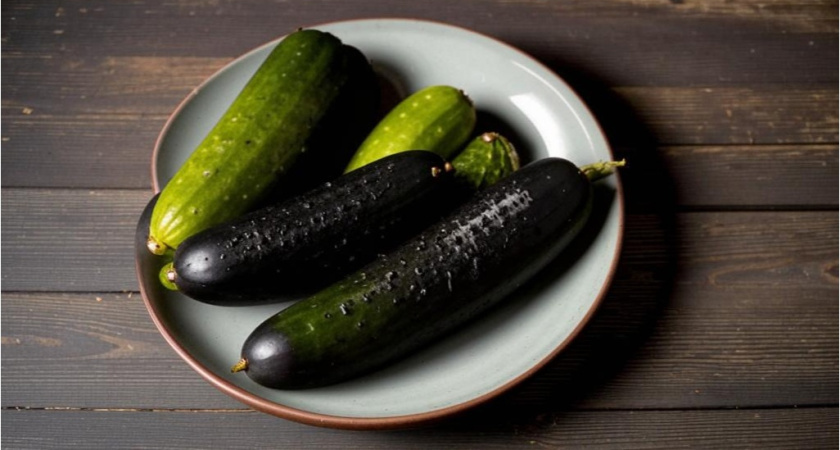 Огурцы, маринованные в томатном соке: делаем заготовку на зиму