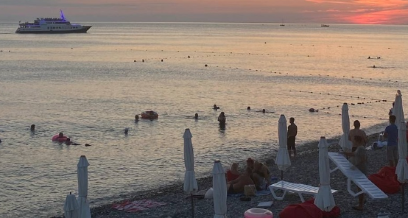 Отпуск провален, ничего не поможет: отдыхающие из Геленджика и Анапы массово жалуются на новую напасть, окончательно испортившую отдых