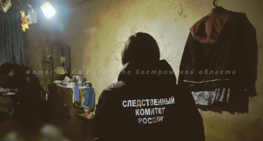 Костромич получил 10 лет колонии за убийство сожительницы