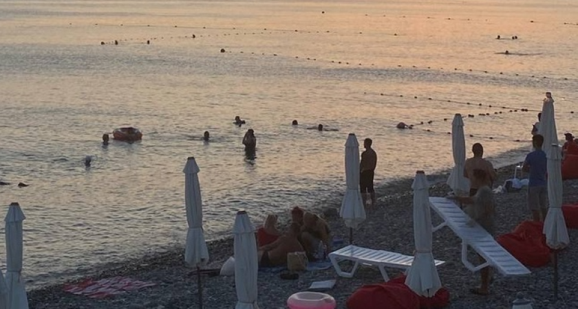 Долгожданный отпуск окончательно провален: отдыхающие из Геленджика и Анапы массово жалуются на страшную напасть