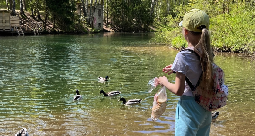 На их защиту встали сами древние боги: Тамара Глоба назвала знаки, для которых наступит алмазная полоса удачи с 22 августа