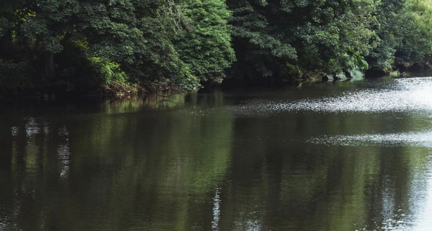 В реке Костроме обнаружено тело пропавшего несколько дней назад мужчины