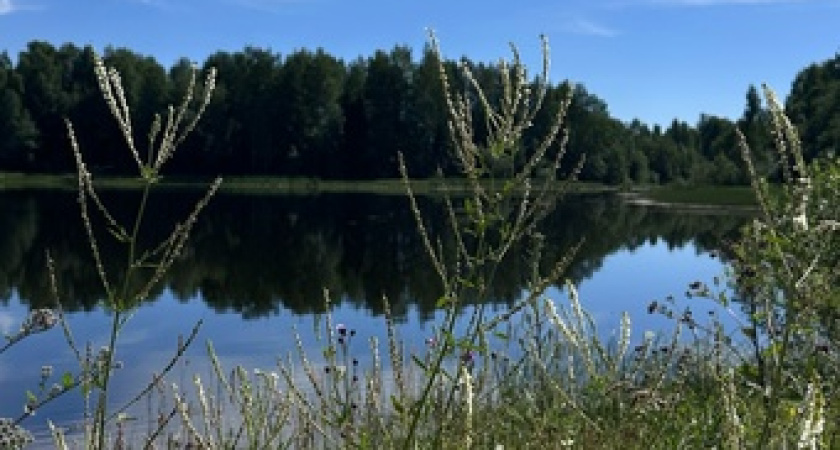 Указ уже подписан и опубликован, теперь все решено: баню придется снести — касается всех, у кого есть дача или сад