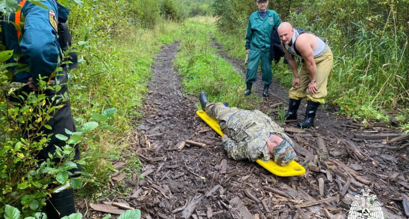 Под Костромой сотрудники МЧС вытащили из леса грибника со сломанной ногой