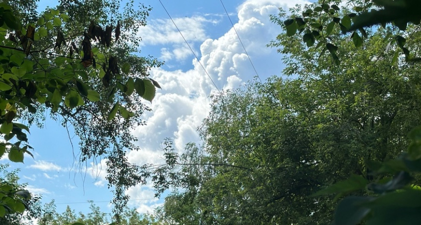 Лето возвращается: синоптики предсказывают жару в Костроме 26 и 27 августа