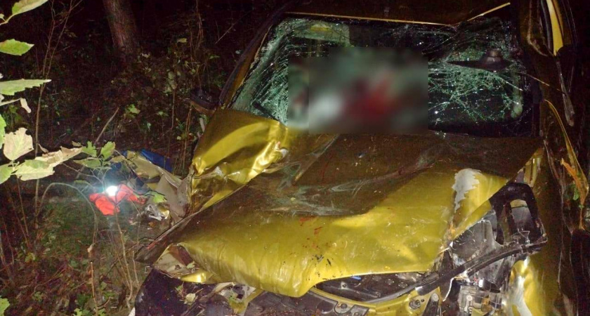 В Костромской области произошло смертельное ДТП