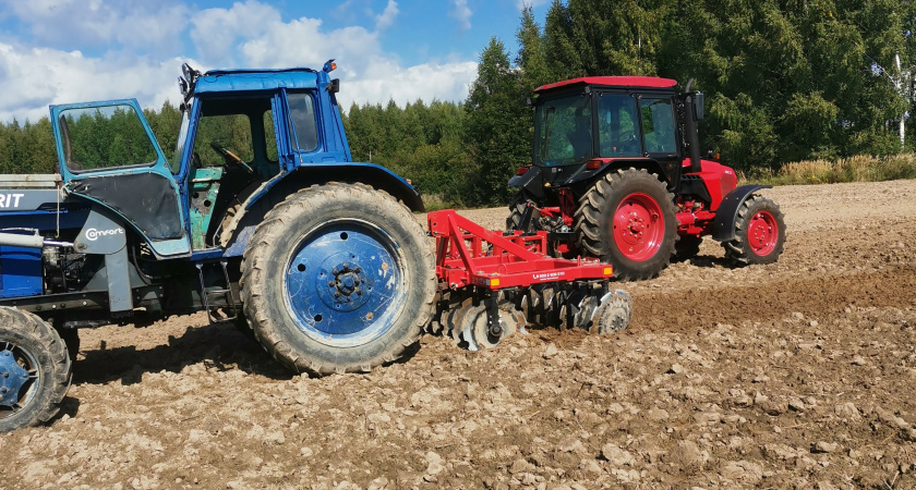 34 тонны чеснока вырастит победитель грантового конкурса из Костромы