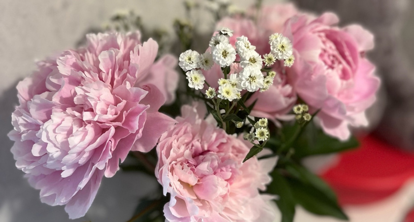 Сколько жители ЦФО планируют потратить на подготовку к школе?