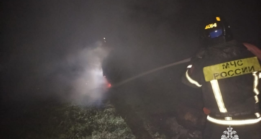 В Нерехтинском районе пожарные спасли кроликов