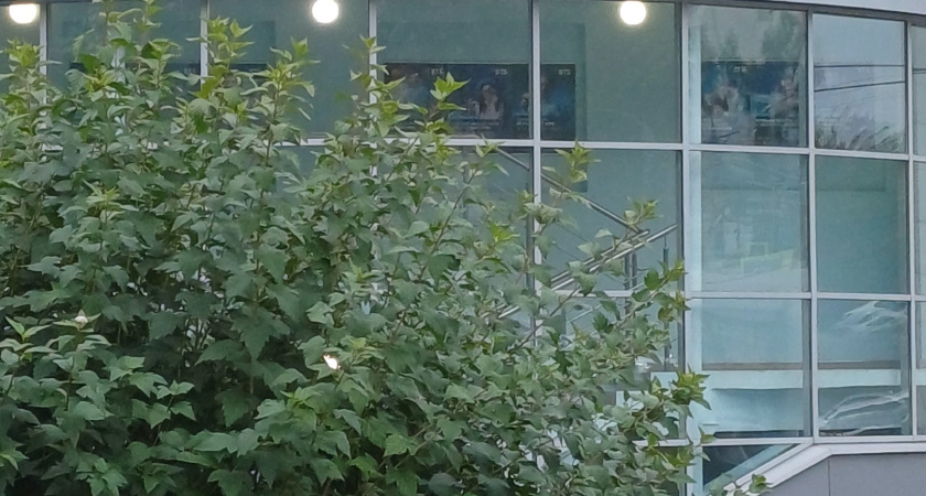 Прирост сбережений вдвое обгонит розничные кредиты в России