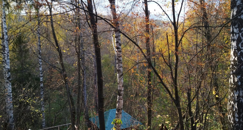 Бабье лето в России: Вильфанд делится прогнозом погоды на сентябрь