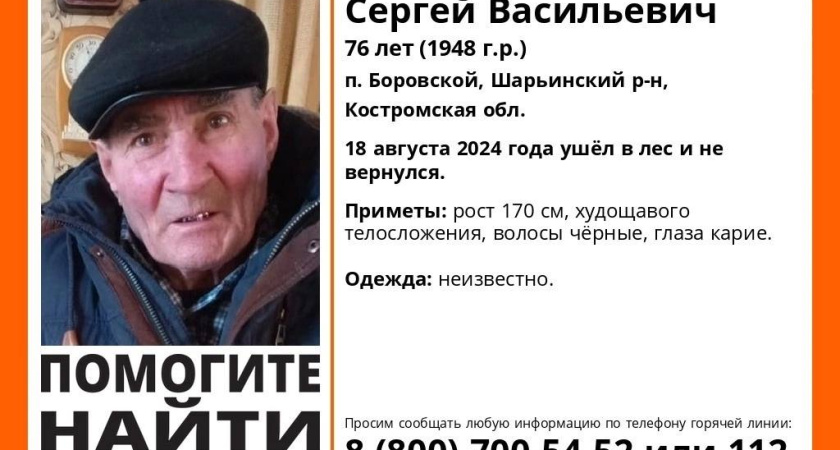 Пропавшего 18 августа пенсионера нашли мертвым