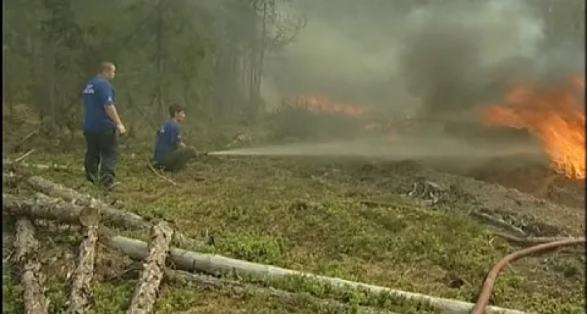 В Макарьевском районе ликвидируют лесной пожар