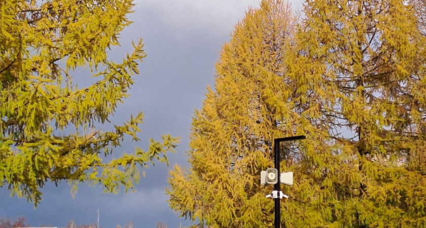 Обратите внимание: календарь примет на сентябрь 2024 года