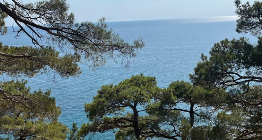 Чёрное море ставит под угрозу отдых: купание становится невозможным, и туристы вынуждены оставаться на берегу