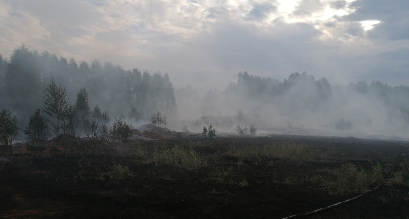 В Костромской области объявили о пожароопасности 4 класса до 18 августа