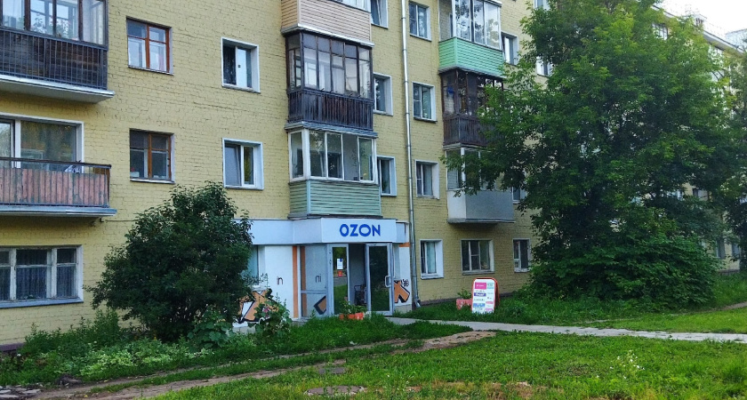 «Будьте осторожны при оплате картой»: Роскачество предупреждает покупателей на Wildberries и Ozon