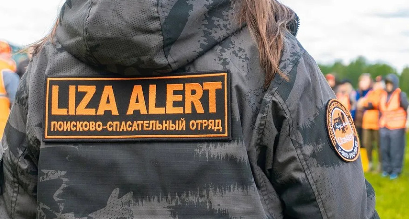 Потерявшийся трехлетний ребенок в Костромской области нашелся