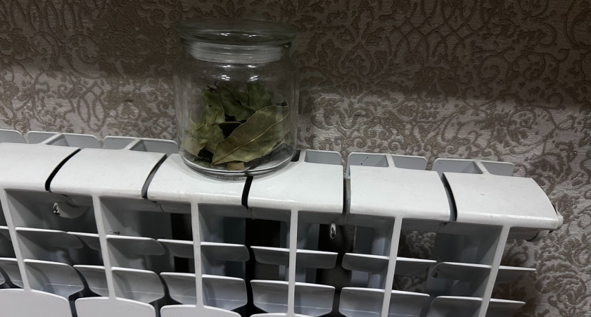 С началом зимы я кладу это на радиатор, и жизнь становится комфортной: вся семья отмечает изменения в лучшую сторону