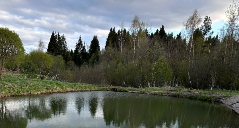 Как обезопасить себя во время отдыха на природе: советы и стратегии для комфортного времяпрепровождения в лесу