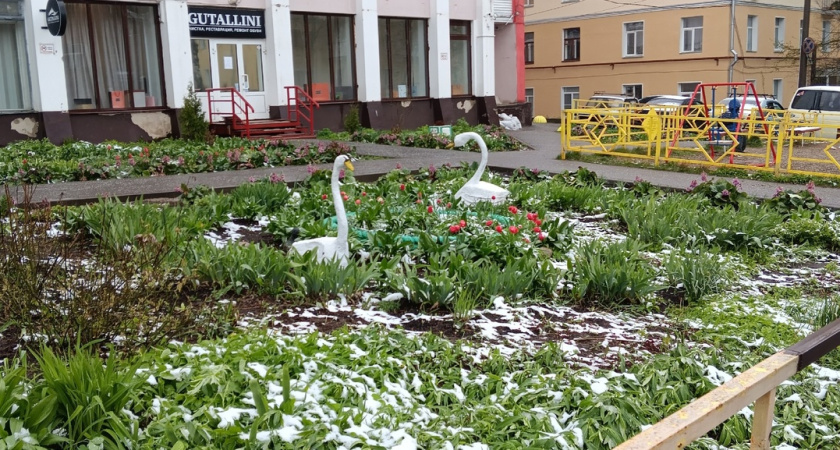 Холод приходит неожиданно и не щадит: синоптик назвал точную дату конца лета