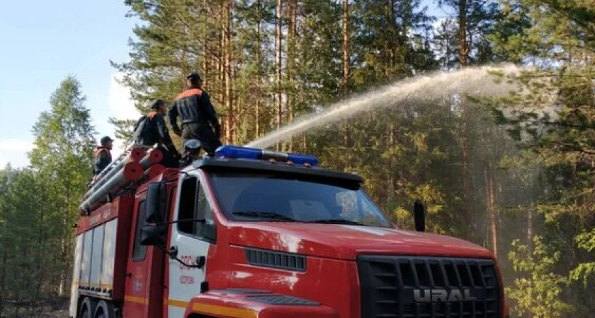В Поназыревском районе тушат лесной пожар